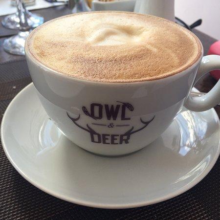 Owl & Deer