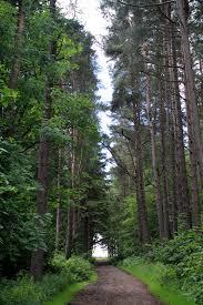 Bonaly Country Park