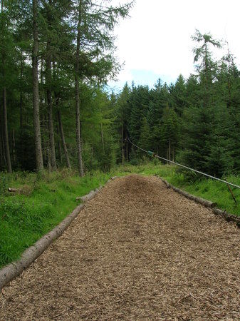 Go Ape - Beecraigs